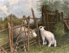 William Burton art print