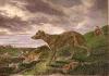 Philip Reinagle art print