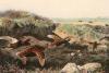 Archibald Thorburn art print