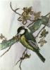 Winifred Austen art print