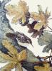 Winifred Austen art print