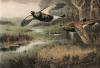 Archibald Thorburn art print