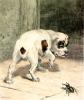 William Henry Hamilton Trood art print