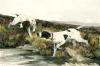 Arthur Wardle art print