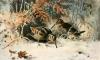 Archibald Thorburn art print