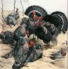Winifred Austen art print
