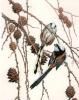 Winifred Austen art print