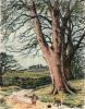 Frederick Albert Slocombe art print