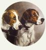 Heywood Hardy art print