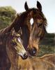 Heywood Hardy art print