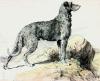 Herbert Thomas Dicksee art print