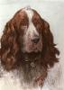 Herbert Thomas Dicksee art print