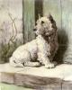 Herbert Thomas Dicksee art print