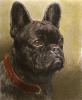 Herbert Thomas Dicksee art print