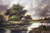 Alex Nasmyth art print