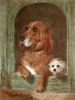 Sir Edwin Henry  Landseer art print