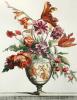 Vera Down art print