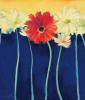 Nel Whatmore art print