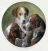 William Barraud art print