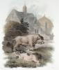 Julias Caesar Ibbetson art print