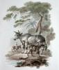 Julias Caesar Ibbetson art print