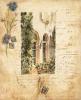 Liz Jardine art print
