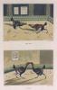 Henry Alken art print