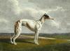 Samuel Howitt art print