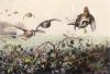 Archibald Thorburn art print
