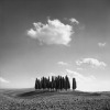 Jean Miele art print