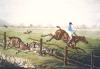 James Pollard art print