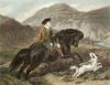 Sir Edwin Henry  Landseer art print