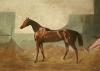 Sir Edwin Henry  Landseer art print