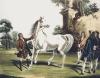 William Webb art print
