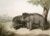 Samuel Howitt art print