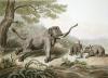 Samuel Howitt art print