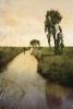 Thea Schrack art print