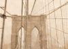Teo Tarras art print