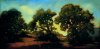 Lynne Windsor art print