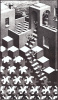 M.C. Escher art print