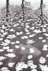 M.C. Escher art print