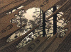 M.C. Escher art print