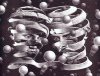 M.C. Escher art print