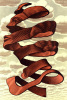M.C. Escher art print