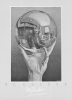 M.C. Escher art print
