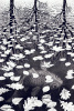 M.C. Escher art print