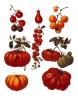 Ernst Benary art print