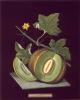 George Brookshaw art print