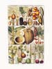 Gesner art print