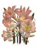 Jane Wells Loudon art print